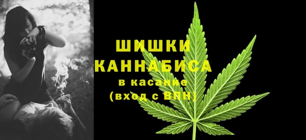 прущие грибы Дмитров