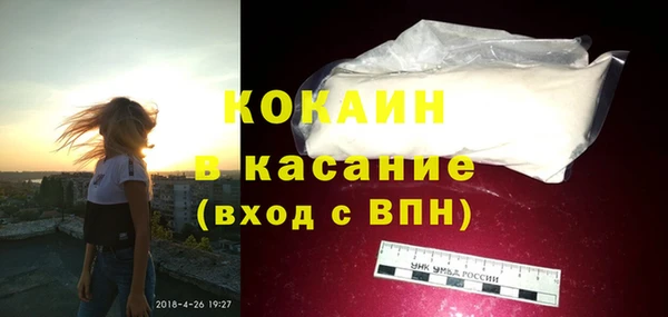 прущие грибы Дмитров