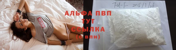 прущие грибы Дмитров