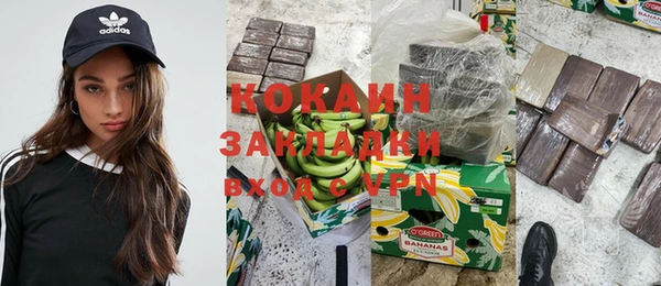 прущие грибы Дмитров