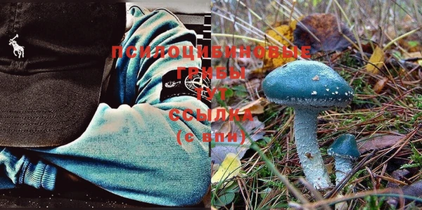 ALPHA PVP Дмитриев