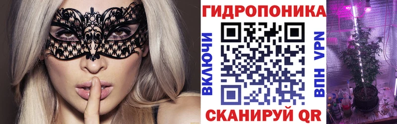 дарнет шоп  Перевоз  Бошки Шишки OG Kush 
